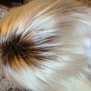 Fun ombre synthetic wig